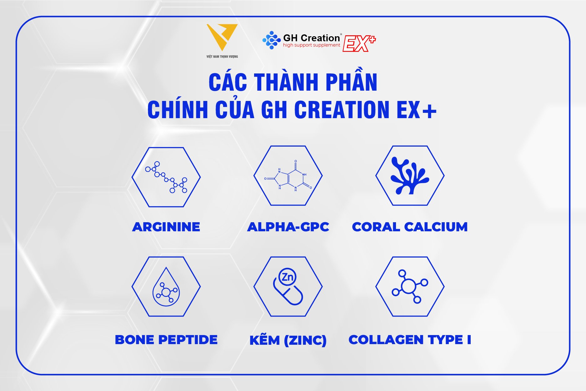 Các thành phần chính của GH Creation EX+