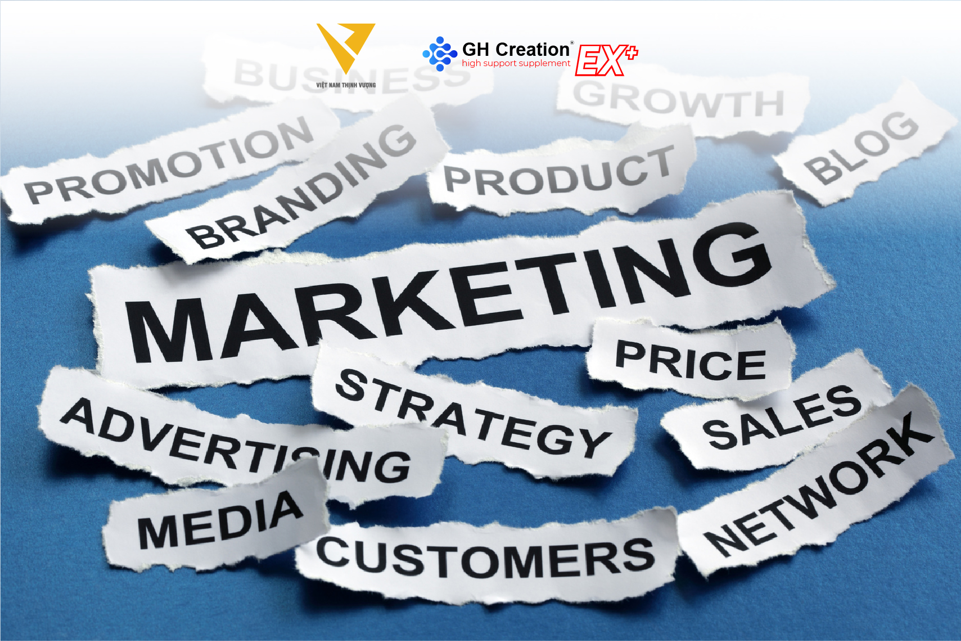 Hỗ trợ về Marketing