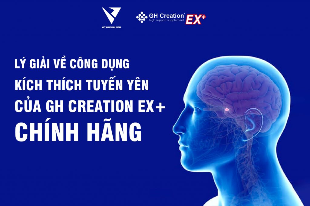 Lý giải về công dụng kích thích tuyến yên của GH Creation EX+ chính hãng