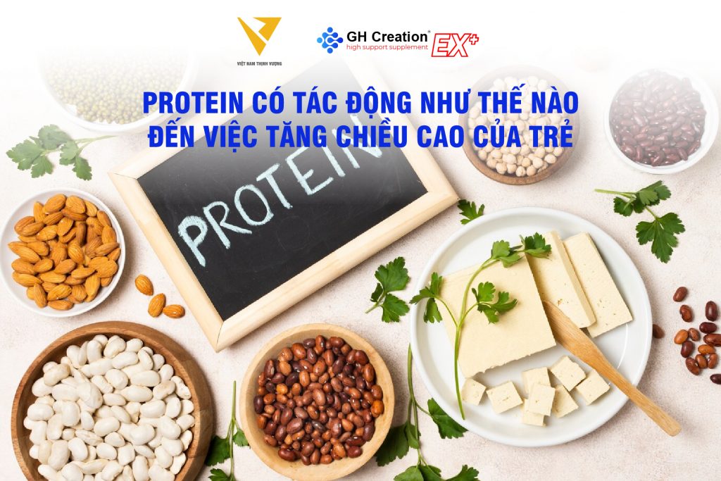 Protein có tác động như thế nào đến việc tăng chiều cao của trẻ