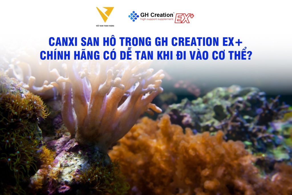 Canxi san hô trong GH Creation EX+ chính hãng có dễ tan khi đi vào cơ thể?