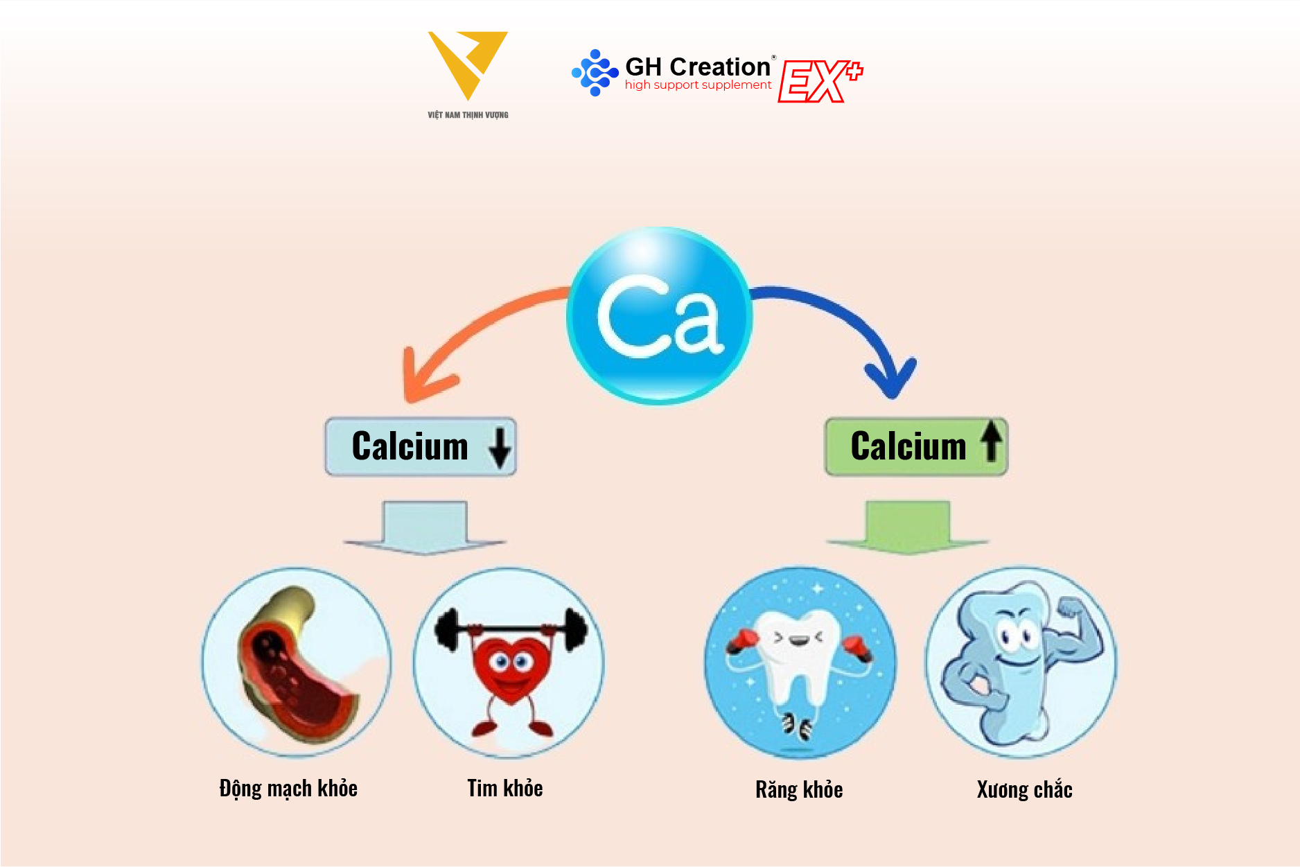 Canxi - Chìa khóa của xương và chiều cao