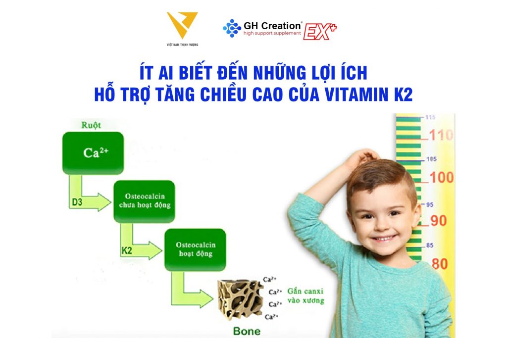 vitamin k2 hỗ trợ tăng chiều cao