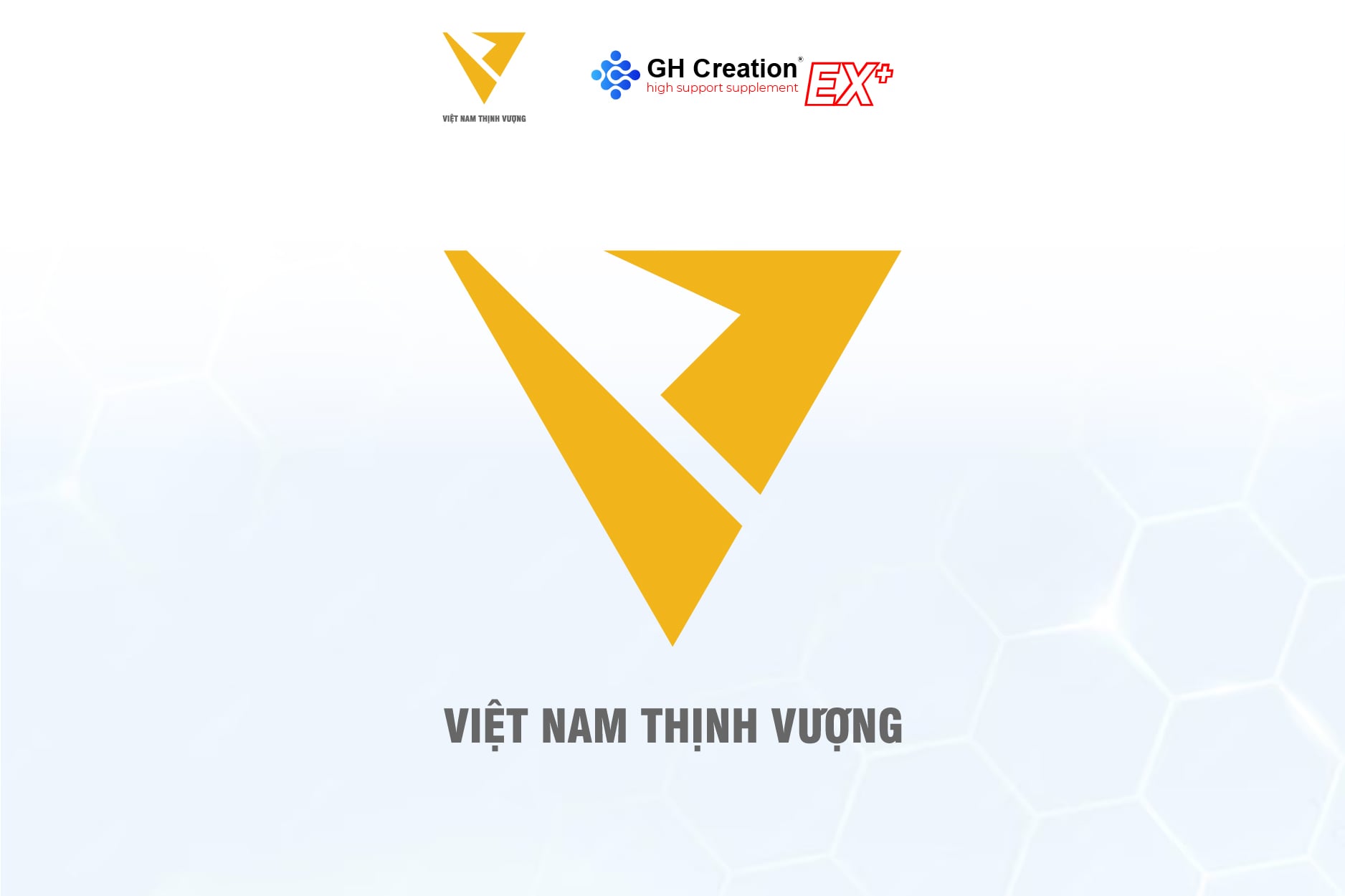 Tổng quan về công ty Việt Nam Thịnh Vượng