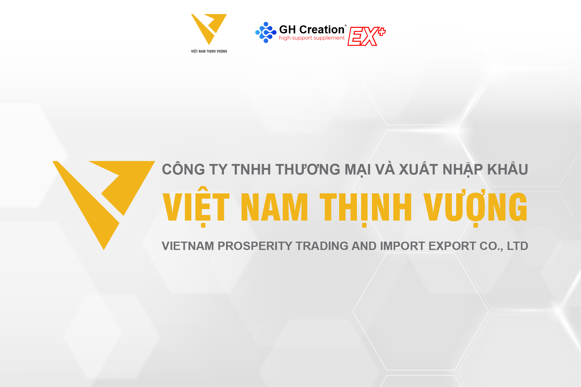 Tổng quan về công ty Việt Nam Thịnh Vượng